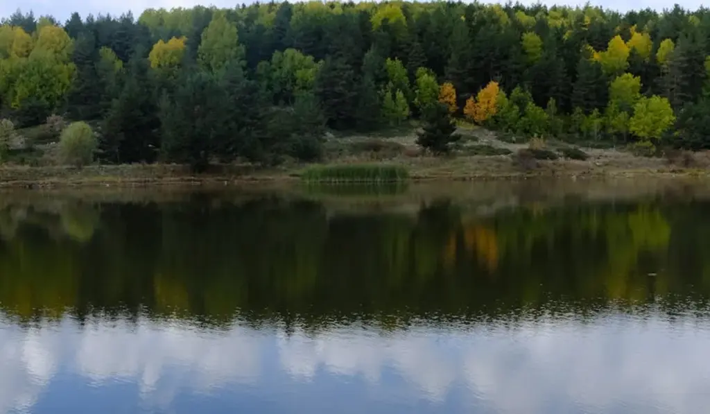 Emergency Water Test Fail: Your Step-by-Step Action Plan for Dangerous Readings