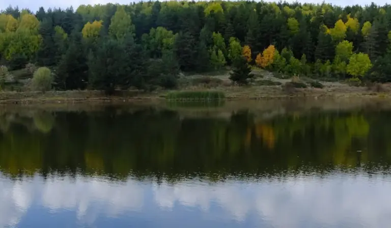 A calm lake with autumn-colored trees along the shoreline, their reflection visible on the water.
