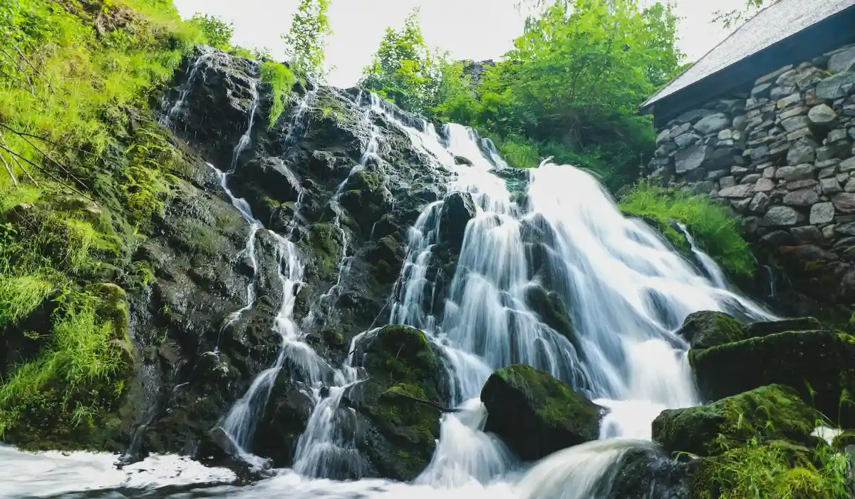 Waterfall cascading over moss-covered rocks in a lush green forest, illustrating natural aeration and habitat features important for freshwater shrimp.