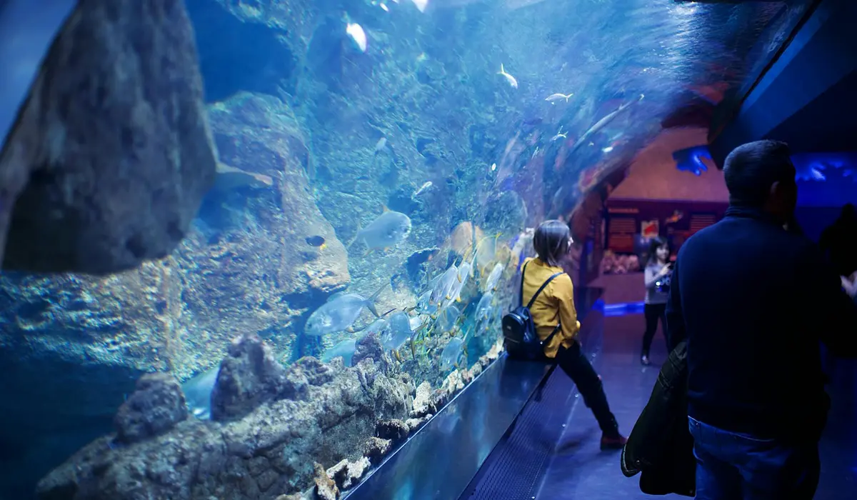 Visitor in a yellow shirt stands inside a blue-lit aquarium tunnel, looking at a rocky underwater exhibit.
