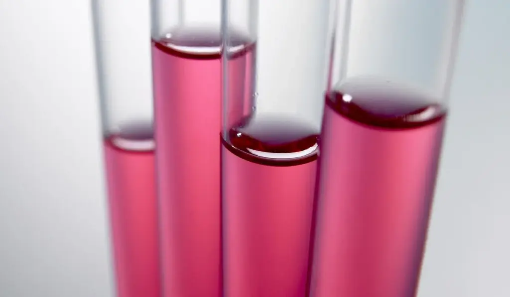Essential Water Testing Equipment for Maintaining Healthy Aquarium Parameters