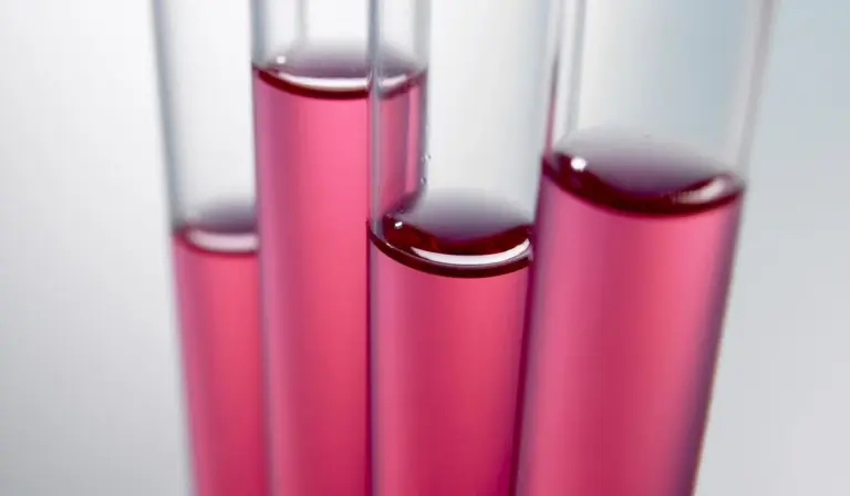Close-up of pink liquid-filled test tubes used for aquarium water testing.