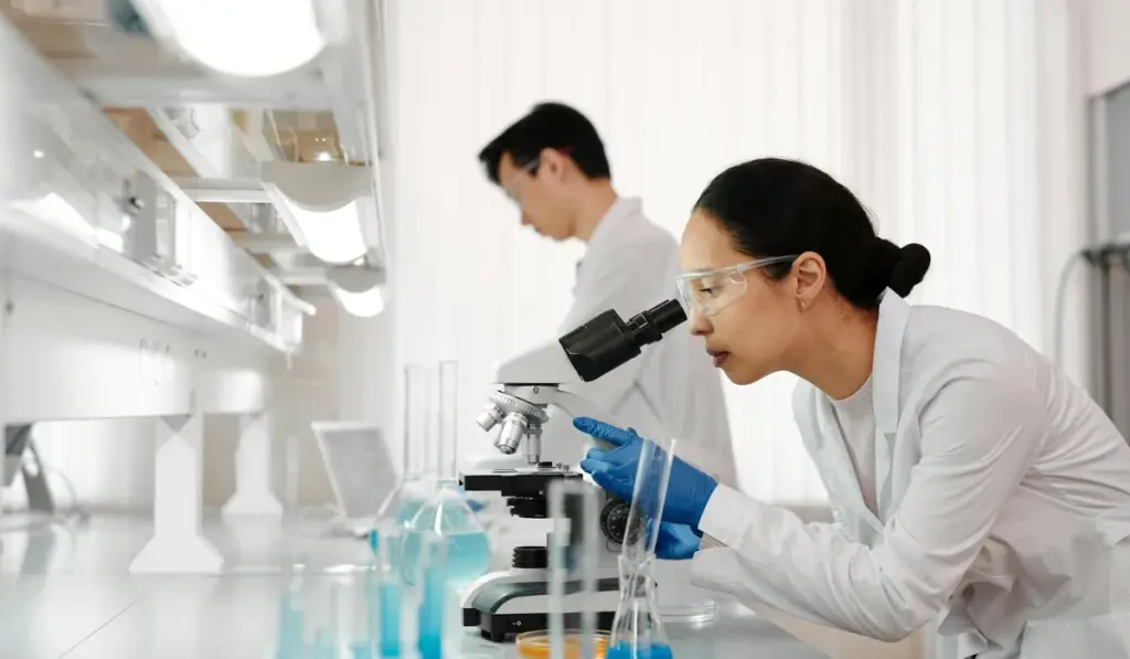 Your Ammonia Test Kit Decoded: A Fish Keeper’s Guide to Clear Water and Healthy Fish