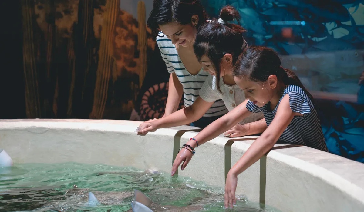 Three people leaning over the edge of a circular aquarium tank, looking into the water.