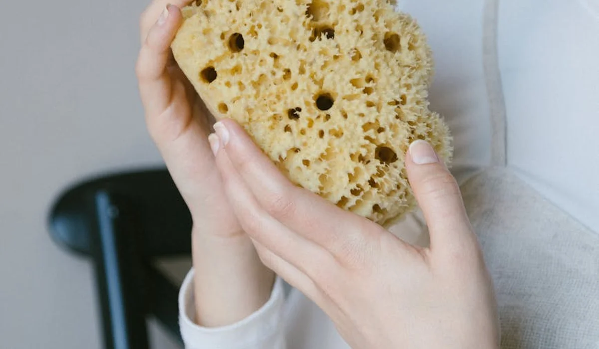 Close-up of a hand holding a porous natural sponge used as a mechanical filter media for an aquarium
