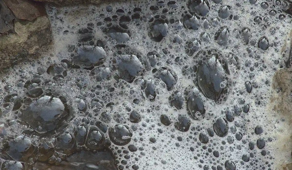 Foamy bubbles on the surface of an aquarium tank, indicating aeration in action.