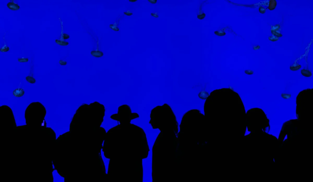 Silhouettes of aquarium visitors against a vivid blue background with small floating shapes resembling jellyfish