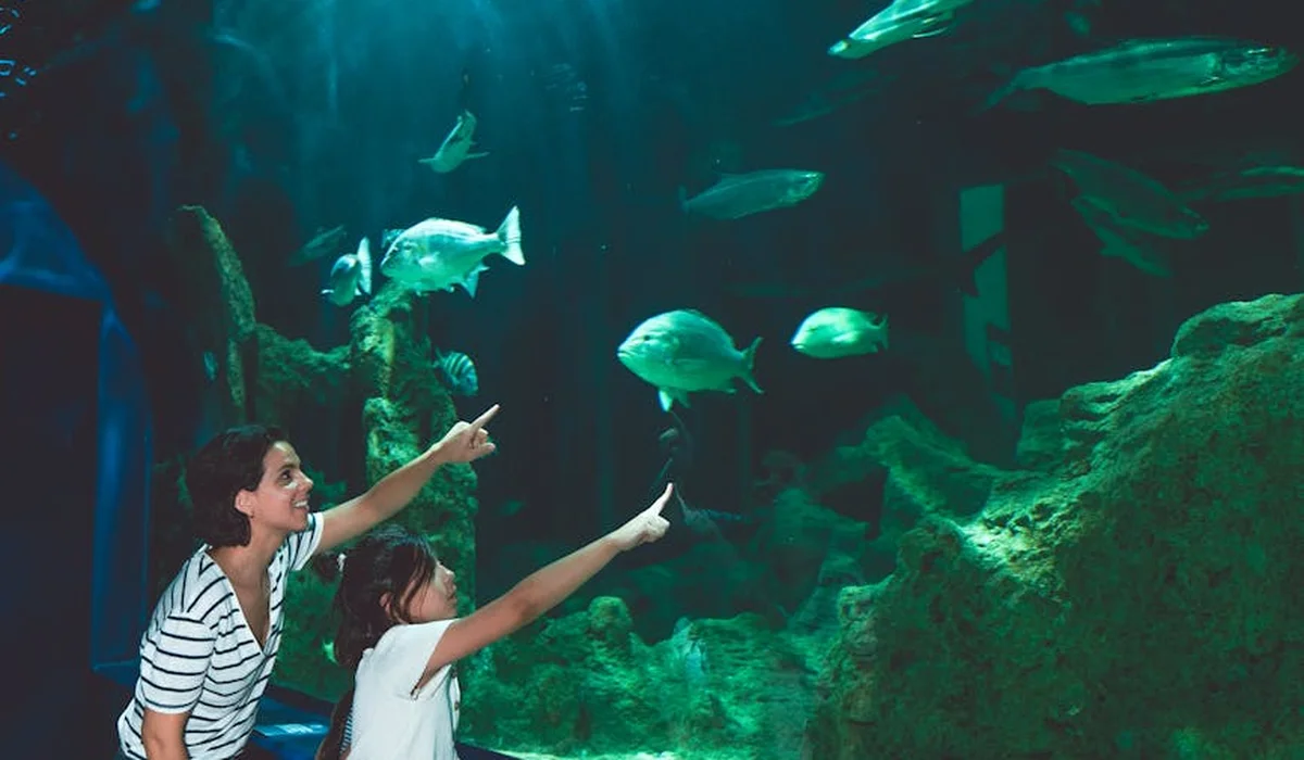 Two people observe and point at fish swimming inside a large aquarium.