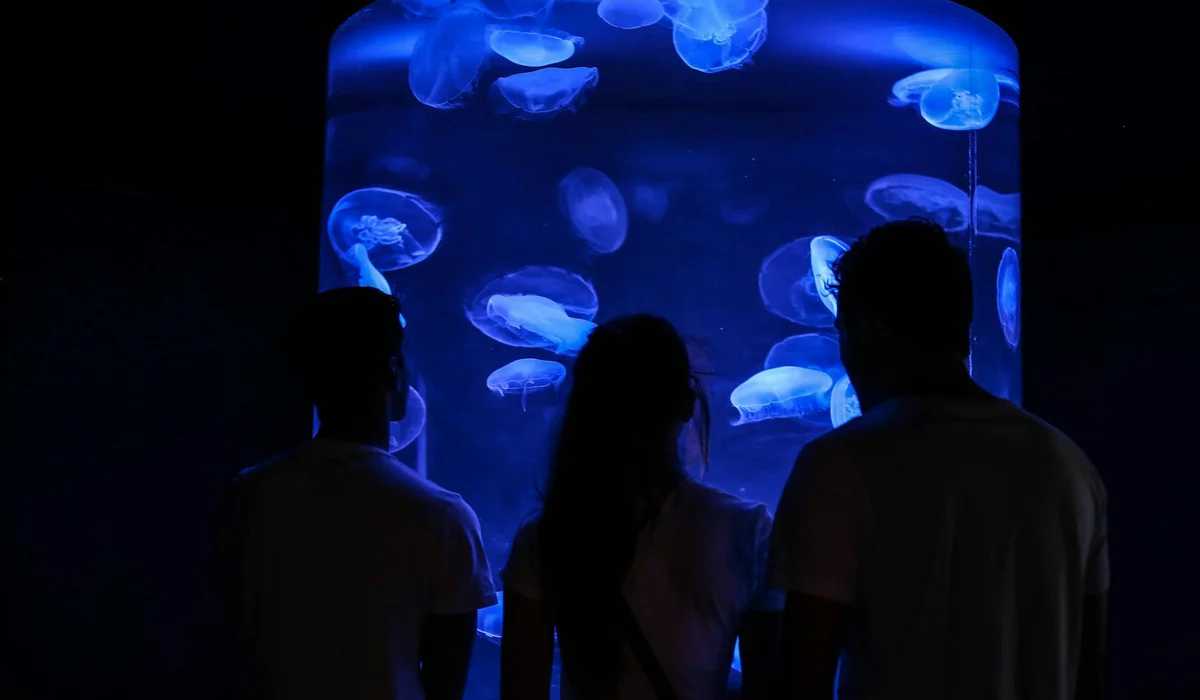 Three silhouetted figures stand before a blue-lit aquarium, illustrating depth cues that can be used to separate foreground, midground, and background in aquascaping.