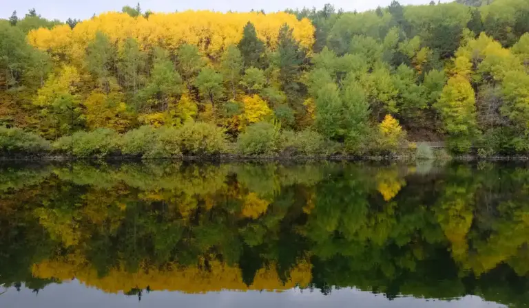 Autumn trees reflected in a calm pond.