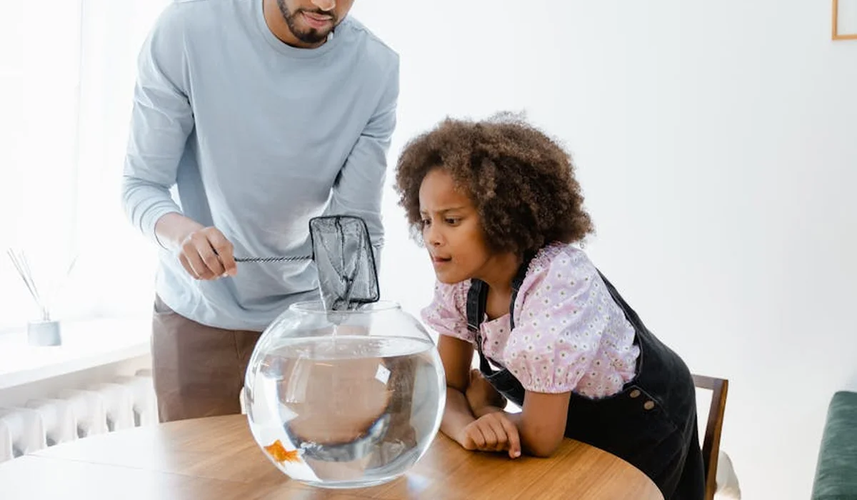 Two people, a man and a young girl, lean over a small round glass fishbowl on a wooden table, watching a fish inside.
