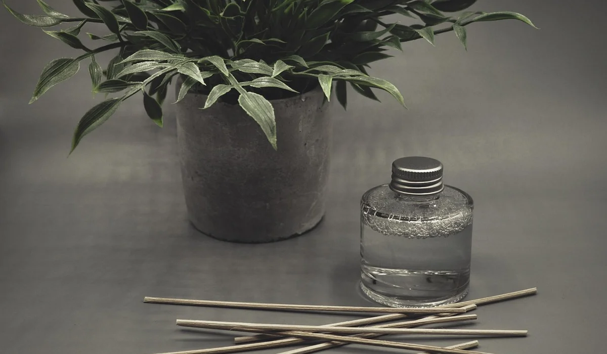 Close-up of a potted plant with a small glass CO2 bottle and several wooden skewers on a gray surface