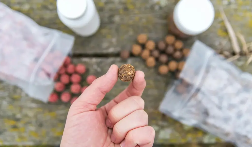 Your Fish Feeding Schedule Solved: A Practical Guide to Frequency and Portions