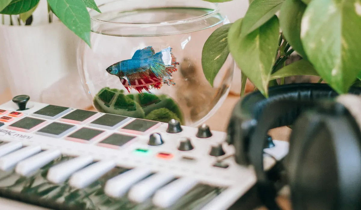 Close-up of a glass bowl with a colorful betta fish, surrounded by lush aquatic plants and a nearby electronic device with buttons.