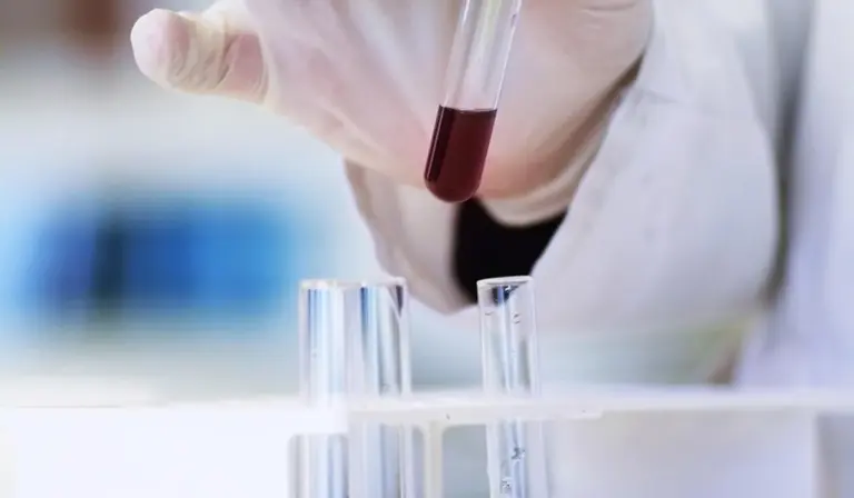 Gloved hand holding a test tube filled with a dark red liquid in a laboratory setting, with other test tubes on a rack in the background