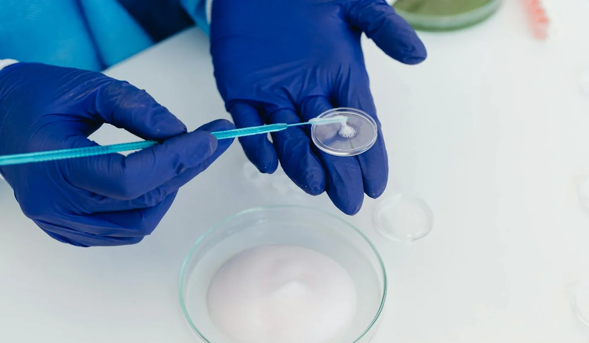 Gloved hands handling a pipette and preparing a sample over a small petri dish in a laboratory setting, with a larger dish of liquid nearby.