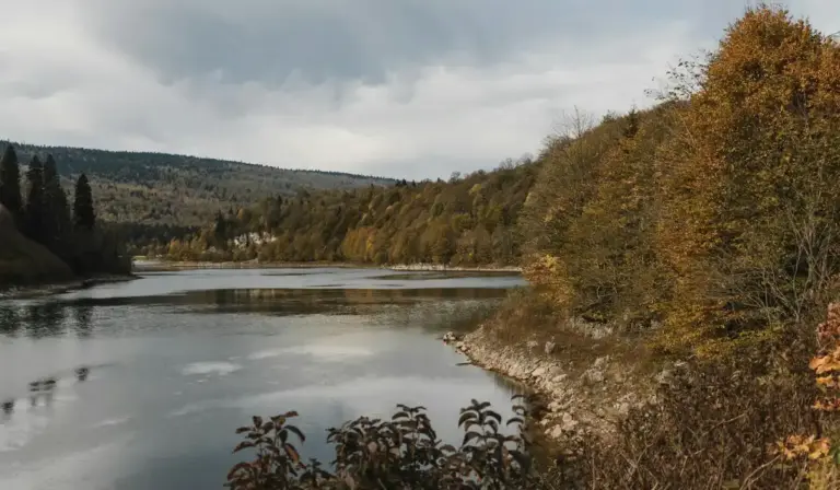 Autumnal riverside landscape with calm water and trees along the shoreline