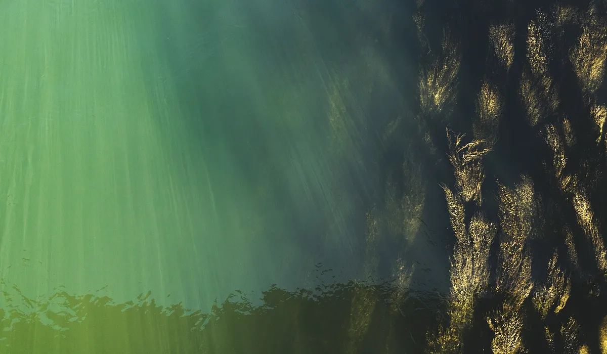 Underwater view of green-tinted aquarium water with sunlight rays and a rocky edge