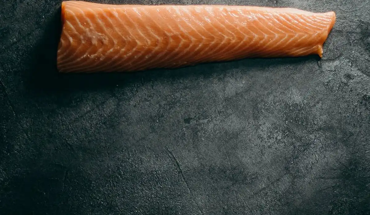 Raw salmon fillet on a dark slate surface, representing protein-rich foods for aquarium fish.