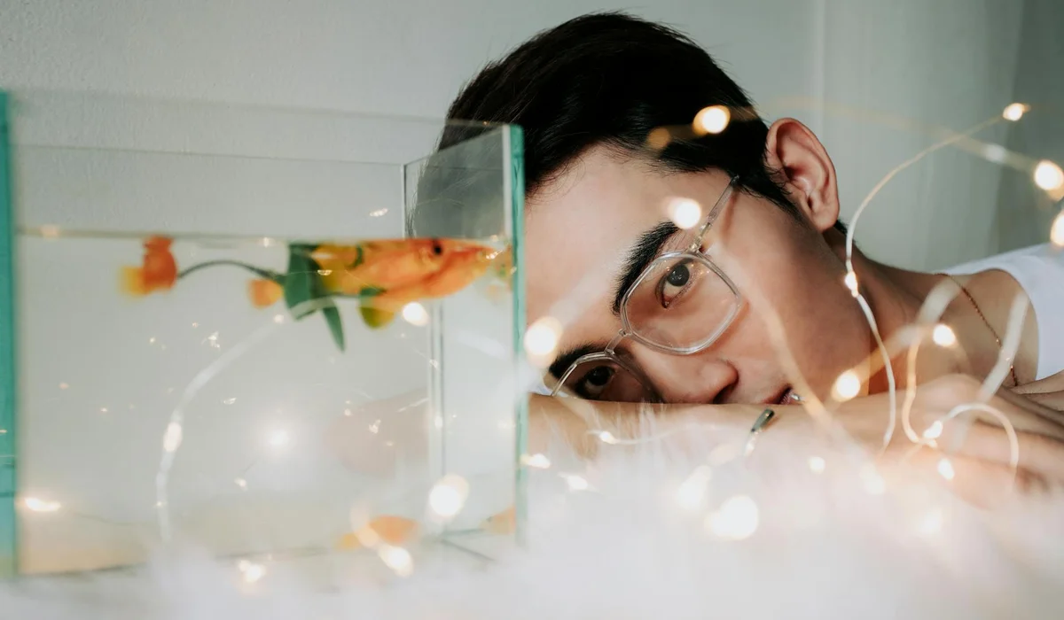 A person wearing glasses leans in to inspect a small aquarium containing a goldfish, with decorative string lights visible around the scene.