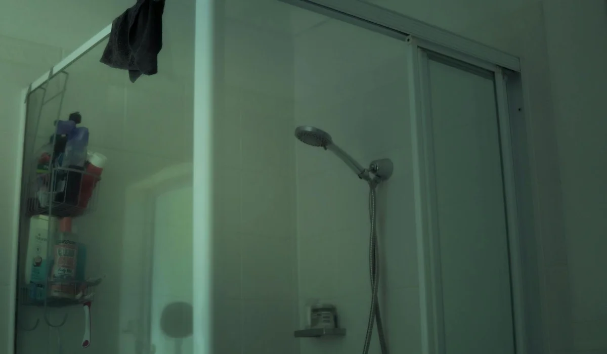 Bathroom shower with glass door and handheld showerhead.