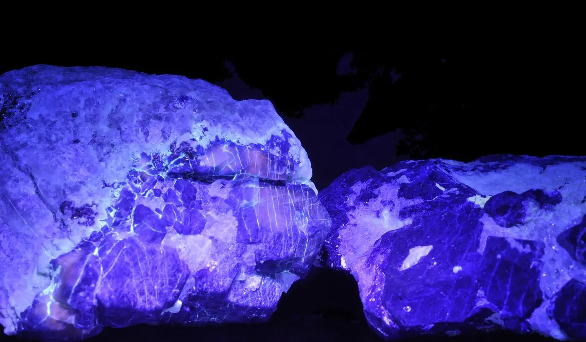 Blue UV light illuminating rocks in a dark aquarium