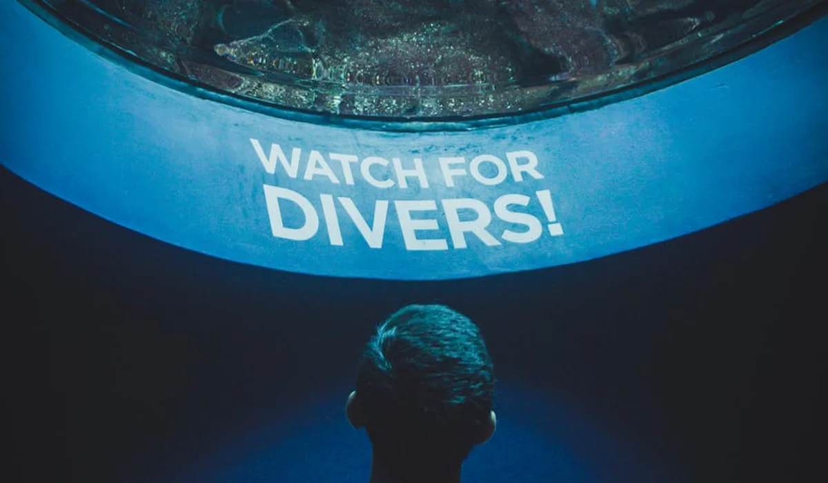 Underwater view of a person looking up at the blue rim of a circular tank with a bold white sign that reads 'WATCH FOR DIVERS!'